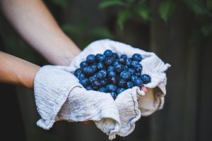Blueberries Help Your Eyes